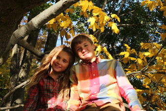 Enlarge photo 249