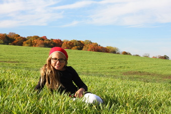 Enlarge photo 291