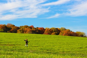 Enlarge photo 304