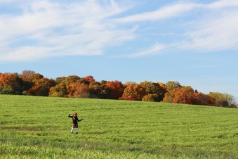 Enlarge photo 305