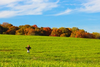 Enlarge photo 306