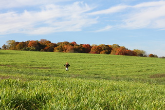 Enlarge photo 307
