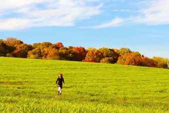 Enlarge photo 308