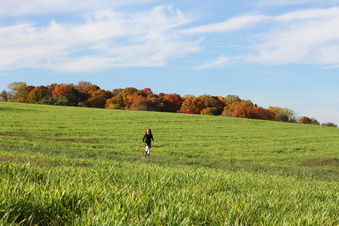 Enlarge photo 309