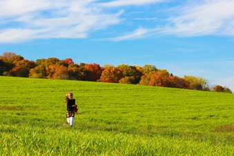 Enlarge photo 310
