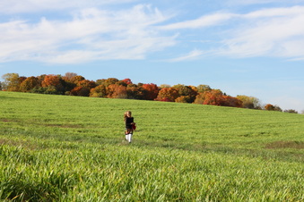 Enlarge photo 311