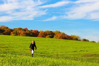 Enlarge photo 312