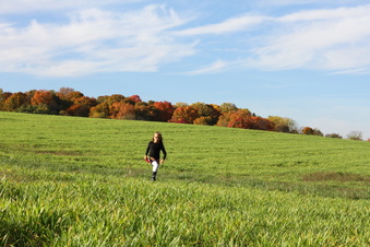 Enlarge photo 313