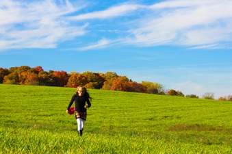 Enlarge photo 314