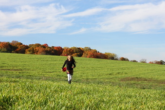 Enlarge photo 315