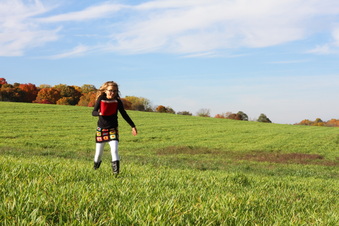 Enlarge photo 317