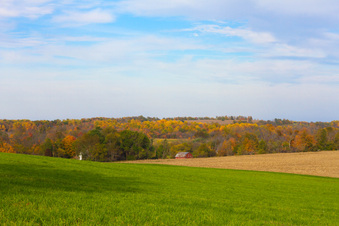 Enlarge photo 348