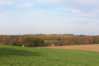 Enlarge photo 349