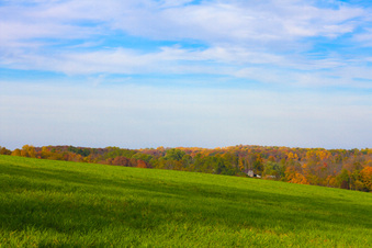 Enlarge photo 350