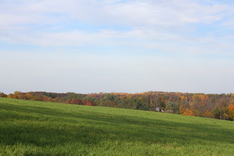 Enlarge photo 351