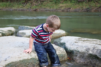Enlarge photo 132