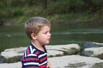 Enlarge photo 146