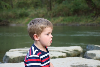 Enlarge photo 147