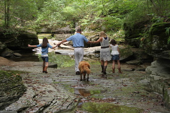 Enlarge photo 37