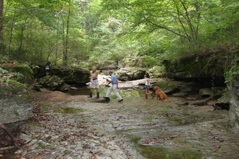 Enlarge photo 39