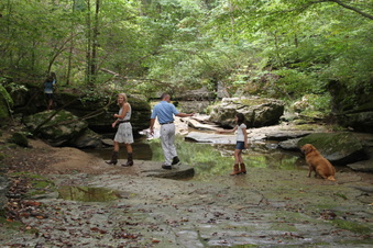 Enlarge photo 40