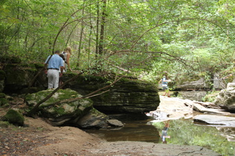 Enlarge photo 43