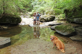 Enlarge photo 44