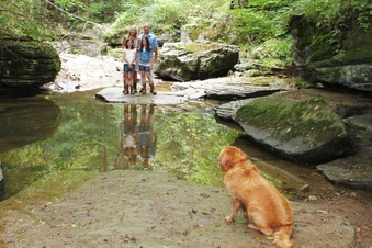 Enlarge photo 47