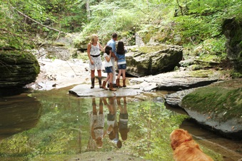 Enlarge photo 49