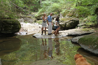 Enlarge photo 50
