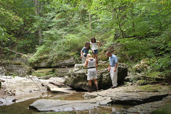 Enlarge photo 55