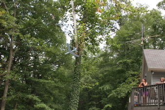 Enlarge photo 161