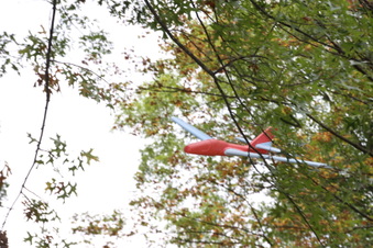 Enlarge photo 163