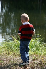 Enlarge photo 38