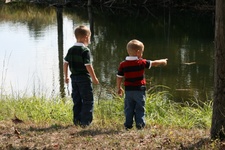 Enlarge photo 33