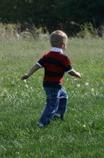 Enlarge photo 10