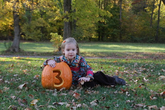Enlarge photo 35