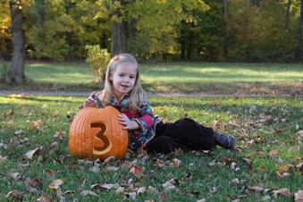 Enlarge photo 43