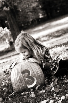Enlarge photo 48