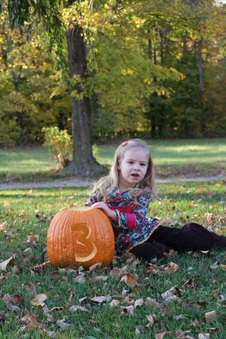 Enlarge photo 52