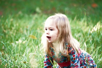Enlarge photo 81