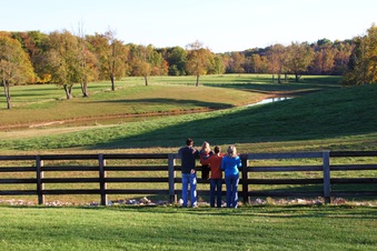 Enlarge photo 92