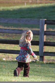 Enlarge photo 114