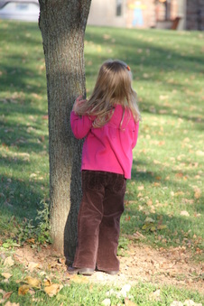 Enlarge photo 135