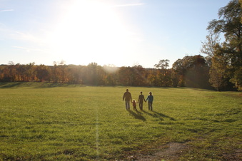 Enlarge photo 146