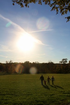 Enlarge photo 147