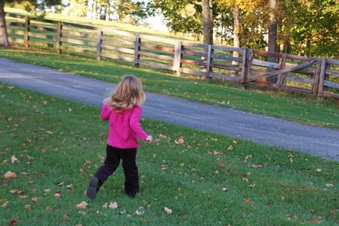 Enlarge photo 152