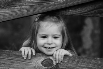 Enlarge photo 153