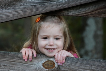 Enlarge photo 154