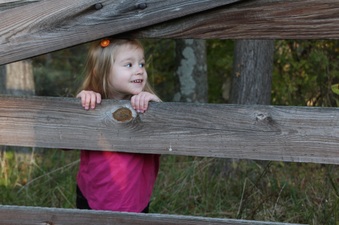Enlarge photo 155